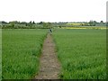 Footpath from Dry Doddington to Claypole