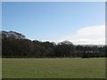 NZ0464 : Pastures and woodland south of Mowden Hall by Mike Quinn