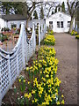 Spring at Nymans