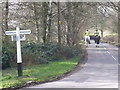 Riding at Slaugham Common