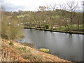 Mill Pond, Mag Dale, Honley