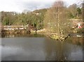 Millpond, Steps, Honley