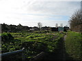 Station Road Allotments