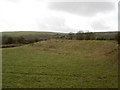 Small Tumulus on Maes-mawr Farm