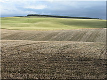 NT2657 : Farmland near Mount Lothian by M J Richardson