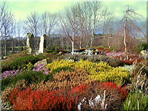 NJ3458 : The Famous Fochaberians Garden by Ann Harrison