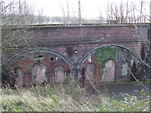 NS4573 : Bricked-up railway arches by Thomas Nugent