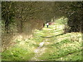 Walkers on Merrow Down