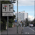 Bus Lane, Malone Road Belfast [2]