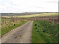 Track to Broompark Farm