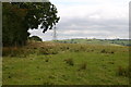 Hillside and pylon above Dry Leys farm