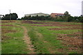 Cleared allotment patch