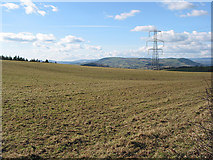 SO4818 : Farmland near Pembridge Castle by Pauline E