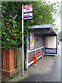 Bus stop and shelter, Malone Road Belfast