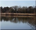 Fleet Pond