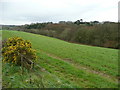 View east of Polwhele