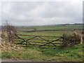 Gate and fields by Pensilva