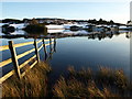 NS3668 : Fence, Knapps Loch by wfmillar