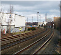 Railway near Adelaide, Belfast