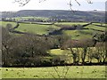 Landscape below Meldon Common