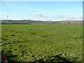 Pasture land at Gnatham Barton