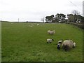 Carrick Townland