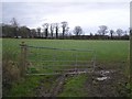 Farlow Townland