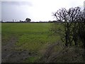 Moneyrannel Townland