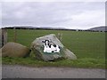 A happy cow at Terrydremont North