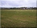 Inisconagher Townland