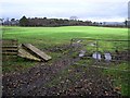 Glebe Townland