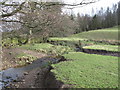 Oakeydene Burn (2)