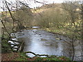 The River East Allen near Kittygreen (2)