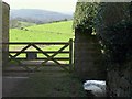 Leat entering Chagford Open Field