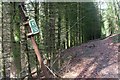 Public Footpath Sign, Handale Wood