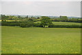 Meadow looking towards Ludgershall