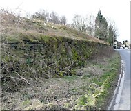 SE1220 : Roadside retaining wall, Dewsbury Road, Rastrick by Humphrey Bolton