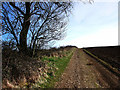 Track near to Park Cottages