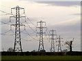 TA1633 : Pylons east of Bilton by Andy Beecroft