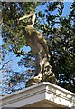 Bird on gatepost, Lincombes