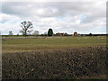 Pasture and driveway to Pigeon House Farm