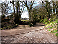 Bend In road at Frogmore