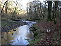 River Brock, Boggy wood