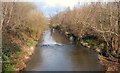 The Newry River