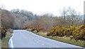 The Tanderagee Road near Newry