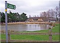 Pond and a lot of sheep