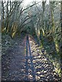 Footpath near Badharlick