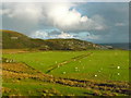 View south from near Ardachy, Isle of Mull