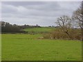 Farmland, Clare