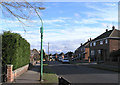 Cast Iron lamp post, Masefield Road